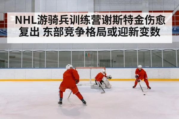 NHL游骑兵训练营谢斯特金伤愈复出 东部竞争格局或迎新变数 - kaiyun stats