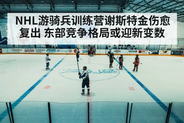 ice hockey arena game